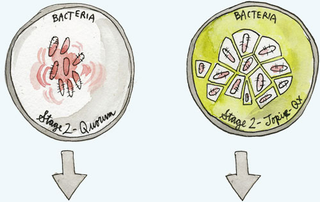 Illustration for article titled From Antivirus to Antibiotics, McAfee Searches for a Last Cure
